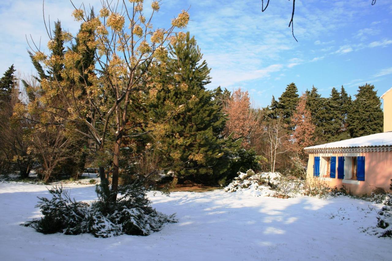 Le Mas De La Cigale Bleue, Caumont Sur Durance Exterior photo